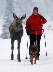 Bilde av DSC_0029 svea
