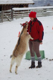 Bilde av DSC_0104