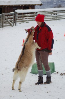 Bilde av DSC_0104