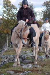Bilde av DSC_0708